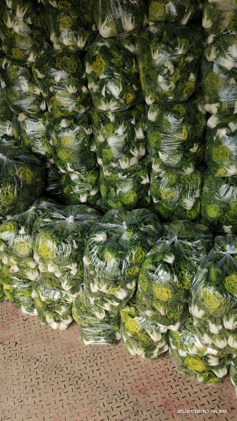 南阳精品黄心菜特矮帮2-8两，对接市场商超，电商，社区购