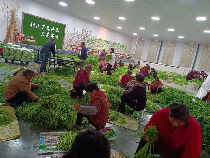 利民芦蒿，国家农产品地理标志、中国绿色食品