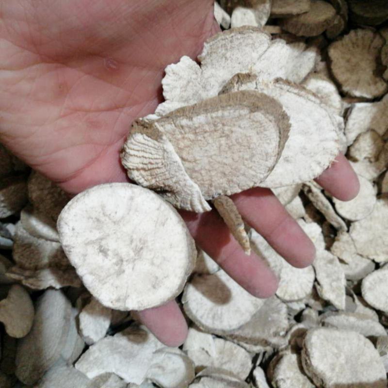 中药材王瓜根野生王瓜根片野苦瓜根质量保证欢迎咨询选购！