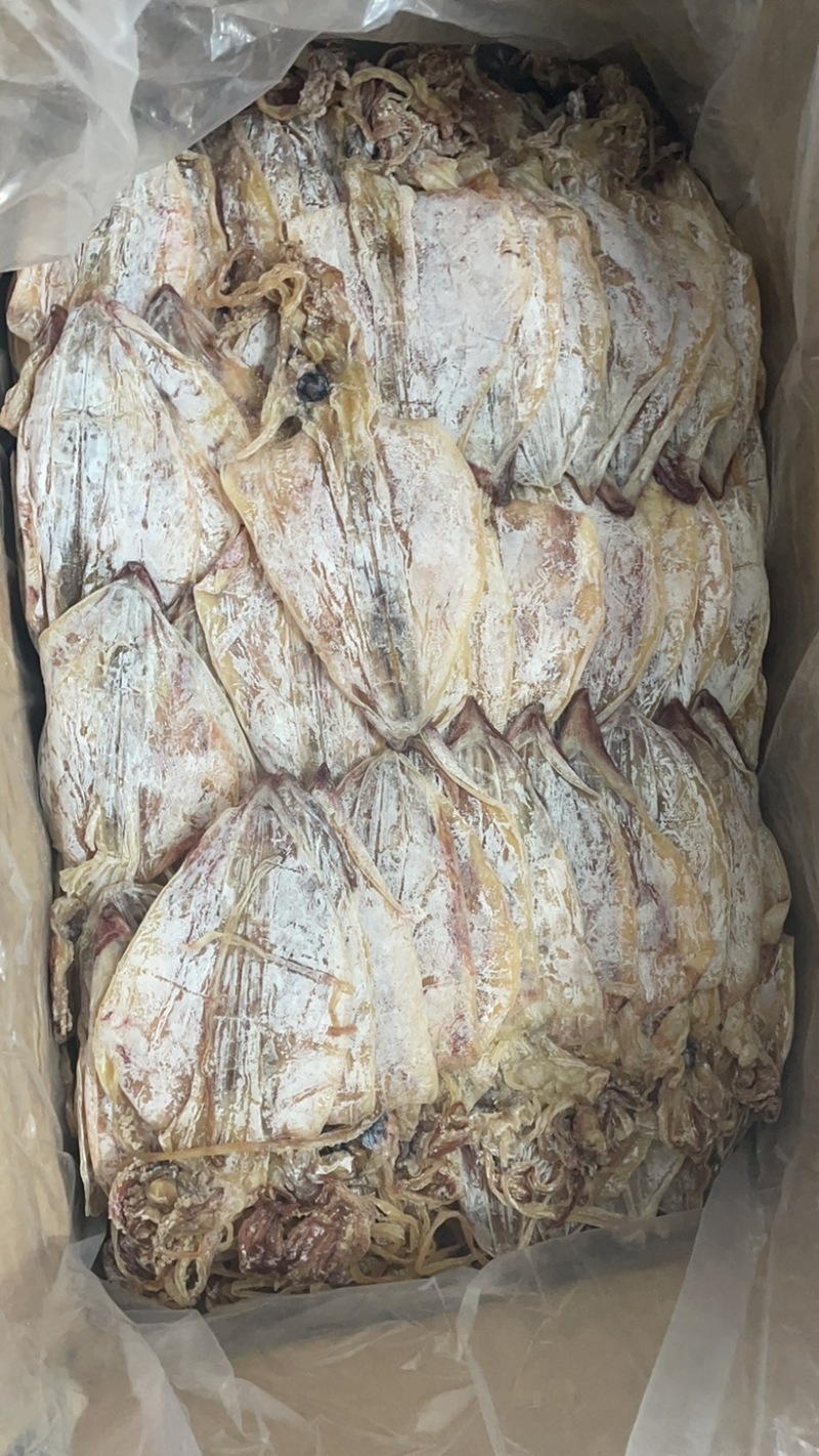 鱿鱼干烧烤鱿鱼干芥末鱿鱼干海鲜干货一斤约23只