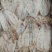 鱿鱼干烧烤鱿鱼干芥末鱿鱼干海鲜干货一斤约23只