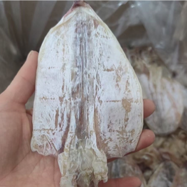 鱿鱼干烧烤鱿鱼干芥末鱿鱼干海鲜干货一斤约23只