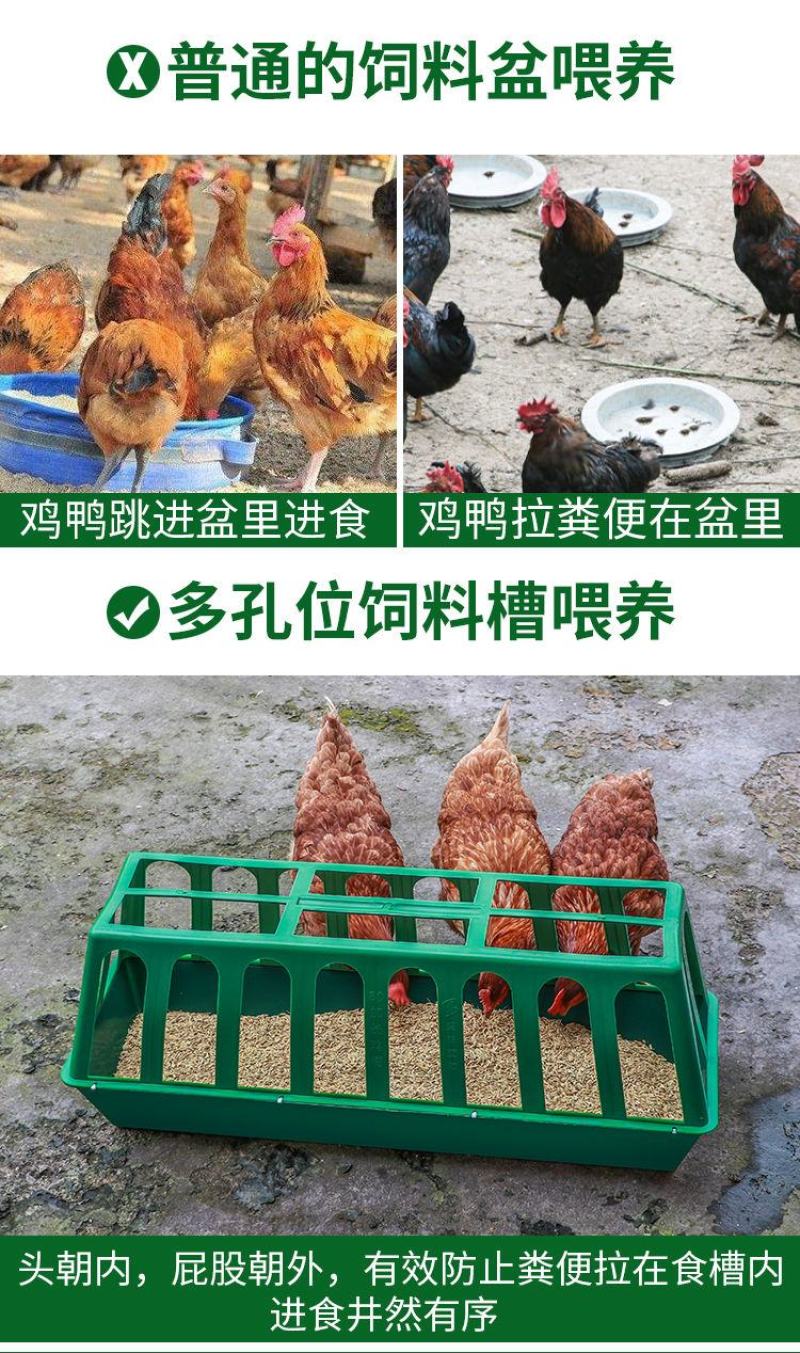 塑料鸡食槽喂食器防撒喂水槽鸡盆家用养殖鸭鹅饲料桶防扒料