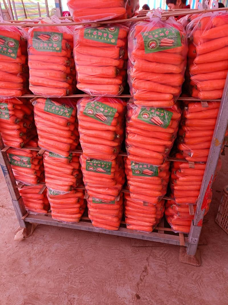 河南开封三红萝卜大量上市了，支持各种包装，全国代发