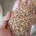 碎米高粱碎米饲料原料高粱碎米厂家直供。货源稳定
