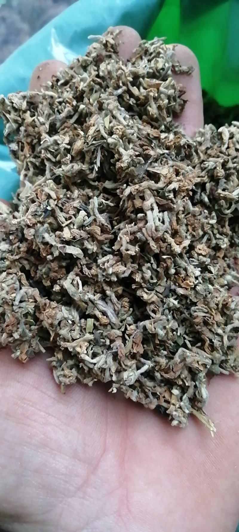 芫花芜花赤芫芫条花丁香花中草药大全
