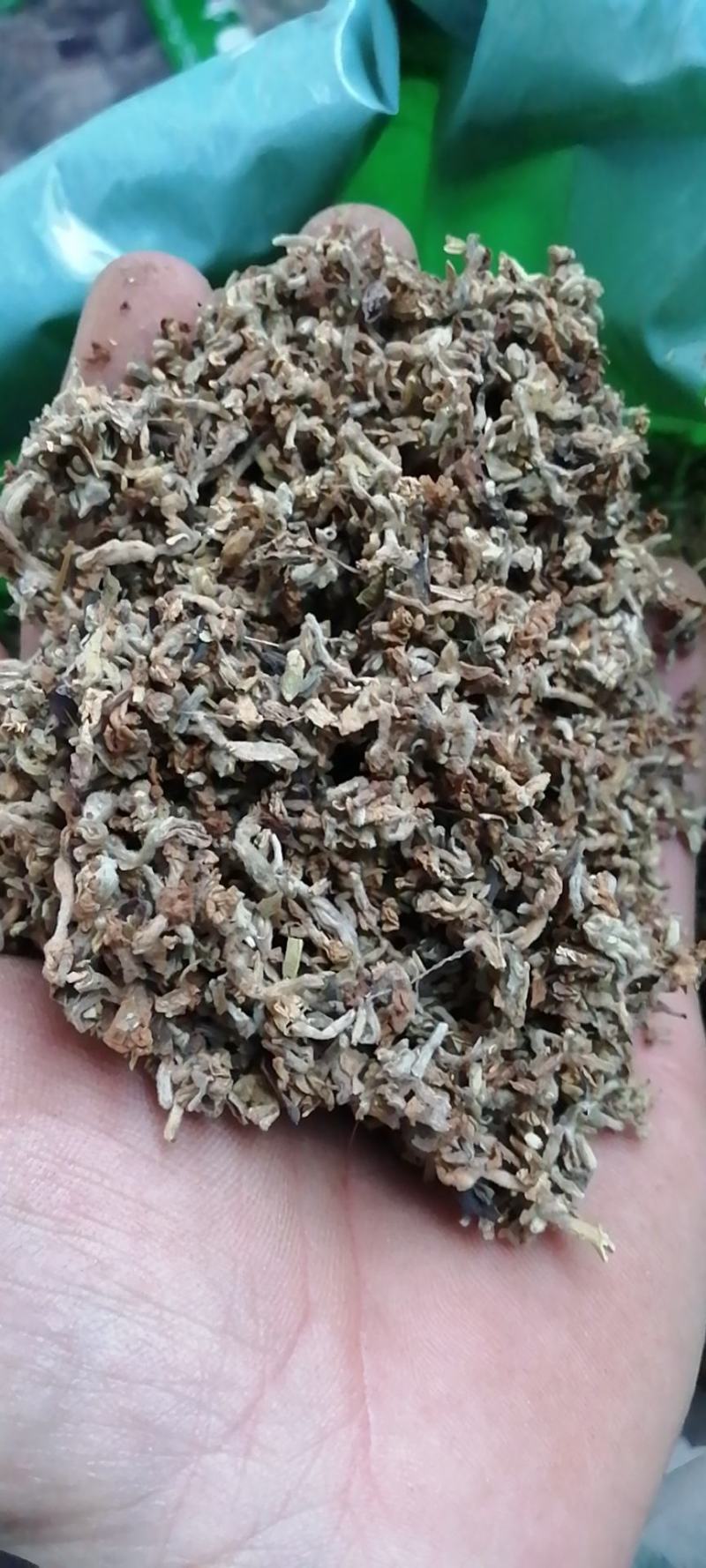 芫花芜花赤芫芫条花丁香花中草药大全