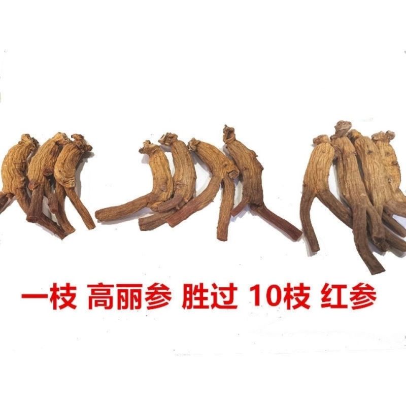 原枝南韩高丽参