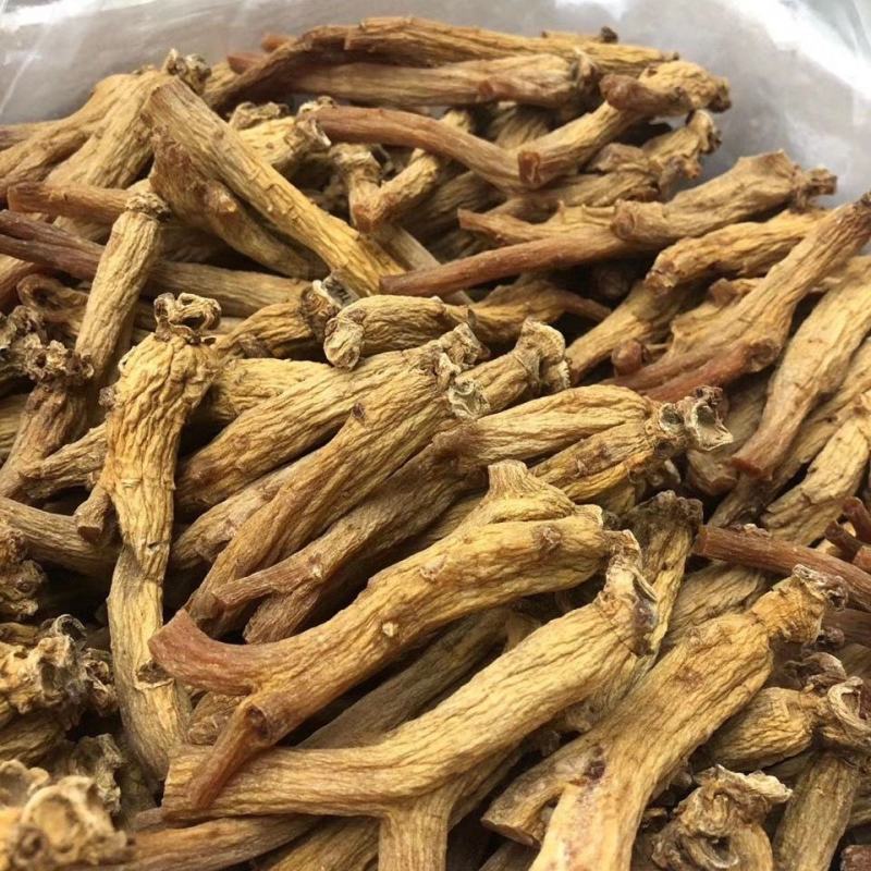 原枝南韩高丽参