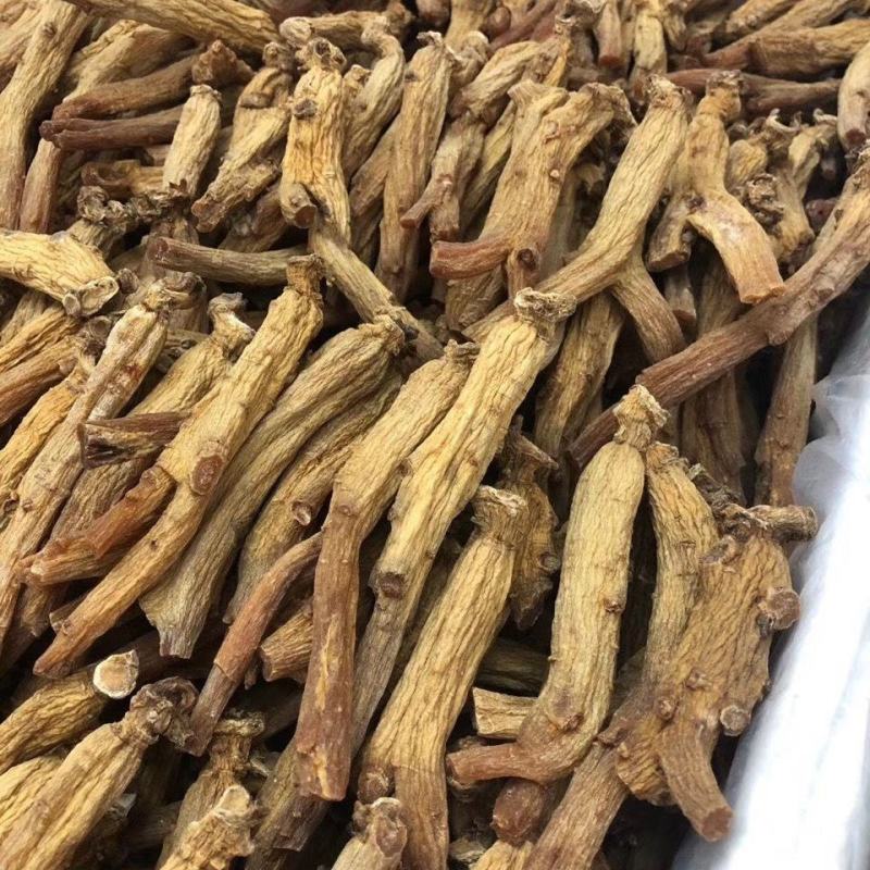 原枝南韩高丽参