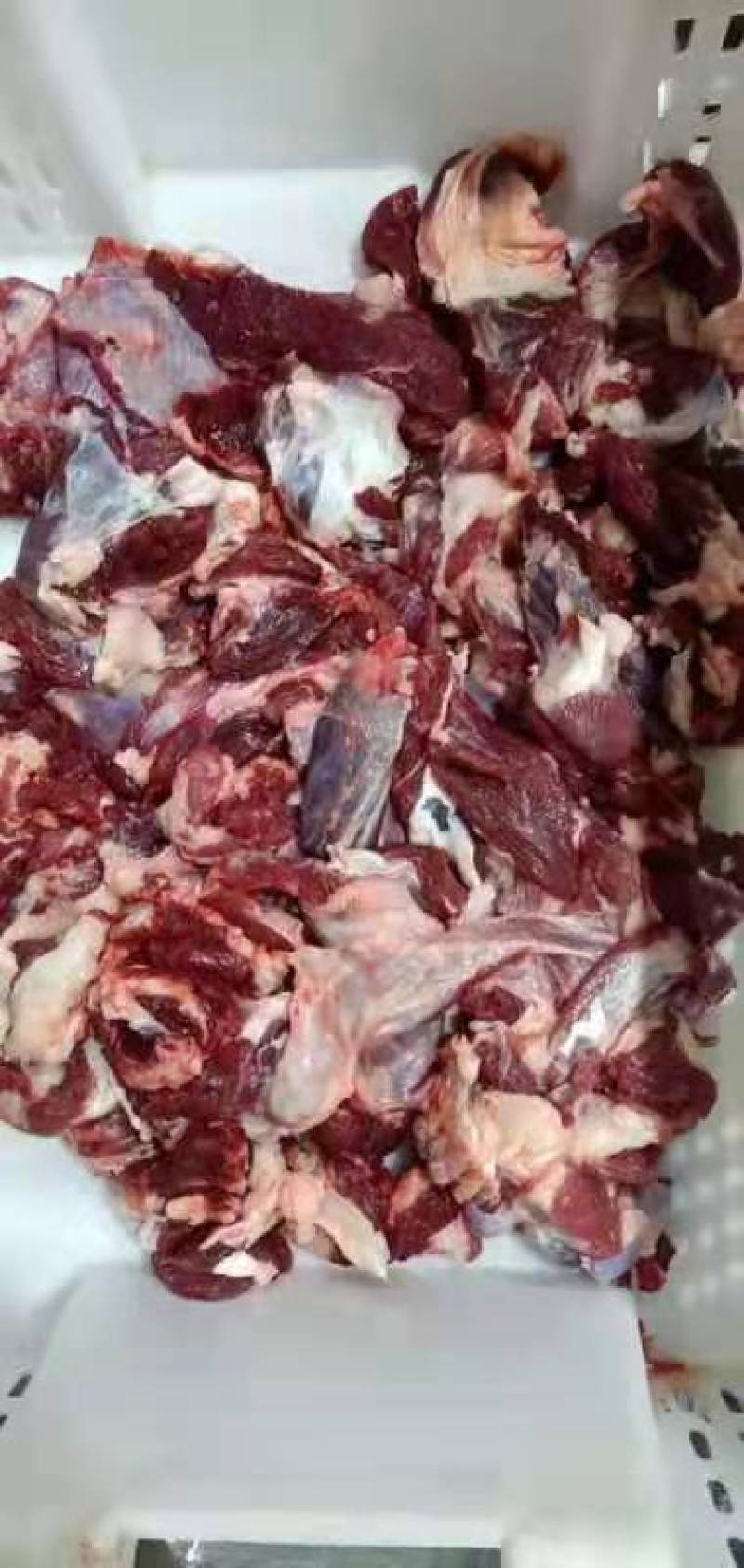 纯干国产牛碎肉，常年有货一手货源，山东发货一件50斤