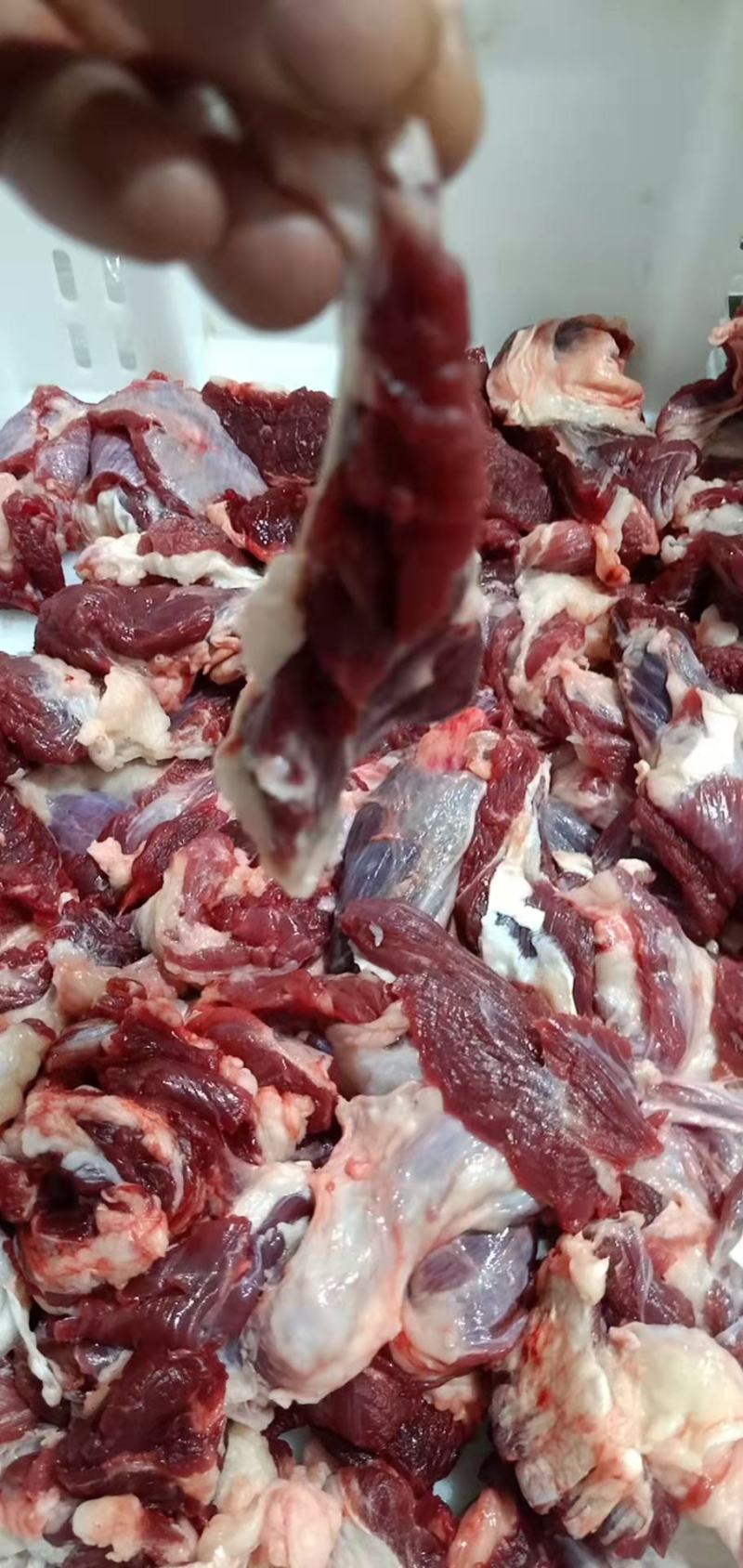 纯干国产牛碎肉，常年有货一手货源，山东发货一件50斤