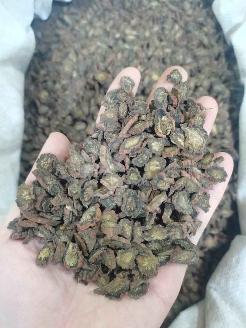 丹参片紫丹参片无硫磺2斤起批不包邮！