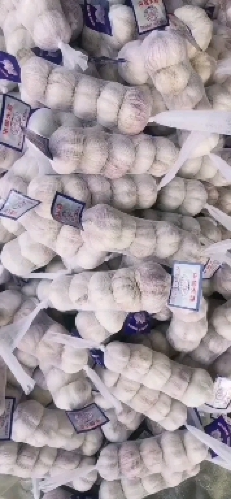 山东大蒜金乡大蒜产地直销量大从优质量有保证
