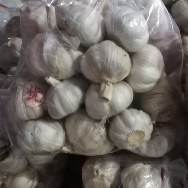 山东大蒜金乡大蒜产地直销量大从优质量有保证