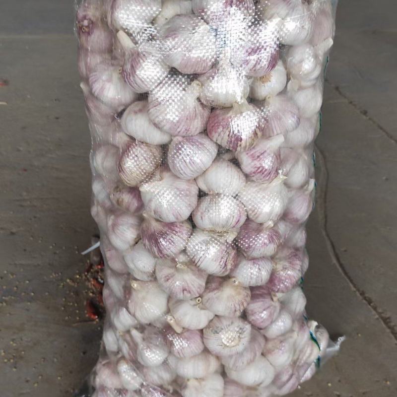 山东大蒜金乡大蒜产地直销量大从优质量有保证