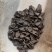 火神派扶阳蒸魔芋片四川炙炮附图片蒸炒火烤1附