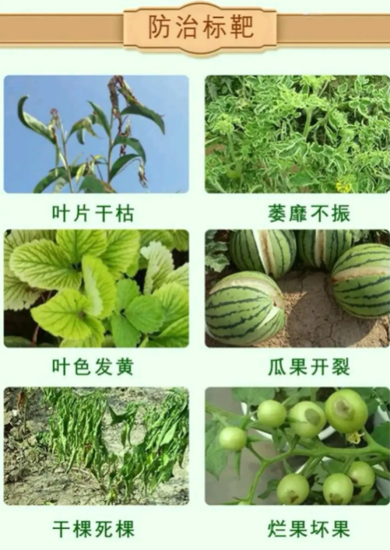 地衣芽孢杆菌，有效活益菌200亿/克全国发货