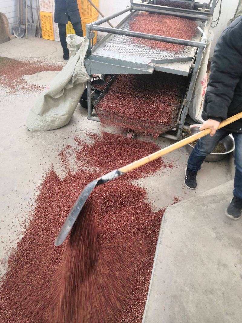 精品梅花椒特级陕西韩城大红袍花椒青花椒香料调料卤肉料中药