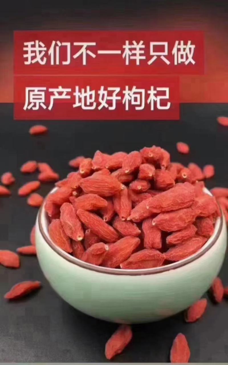 正宗青海野生黑枸杞一斤，大量批发零售红枸杞黑枸