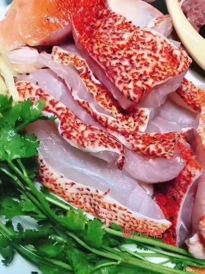东星斑，活体速冻，可刺身，小件试样，5斤1件