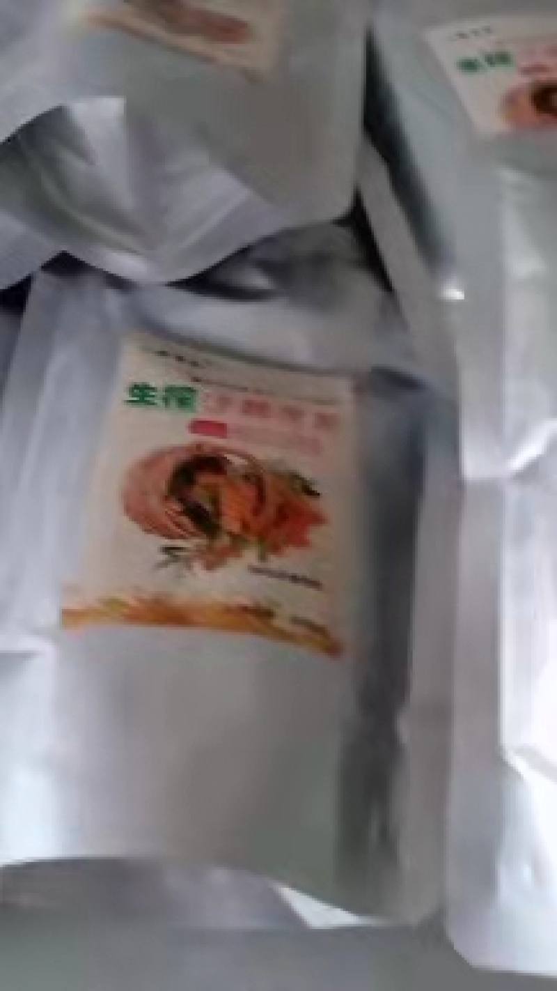 俄罗斯深秋红沙棘果