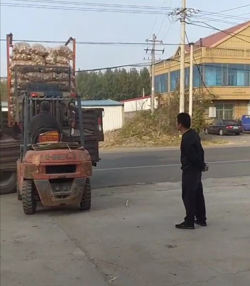 ：库薯荷兰十五土豆（袋装）