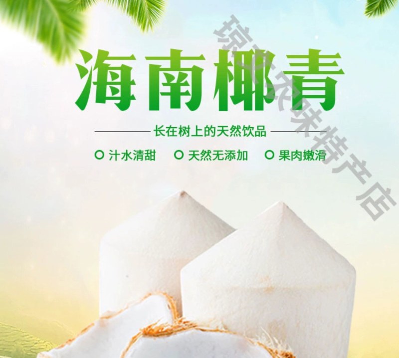 【包邮】海南文昌嫩椰青新鲜9个装当季热带孕妇水果香椰子汁
