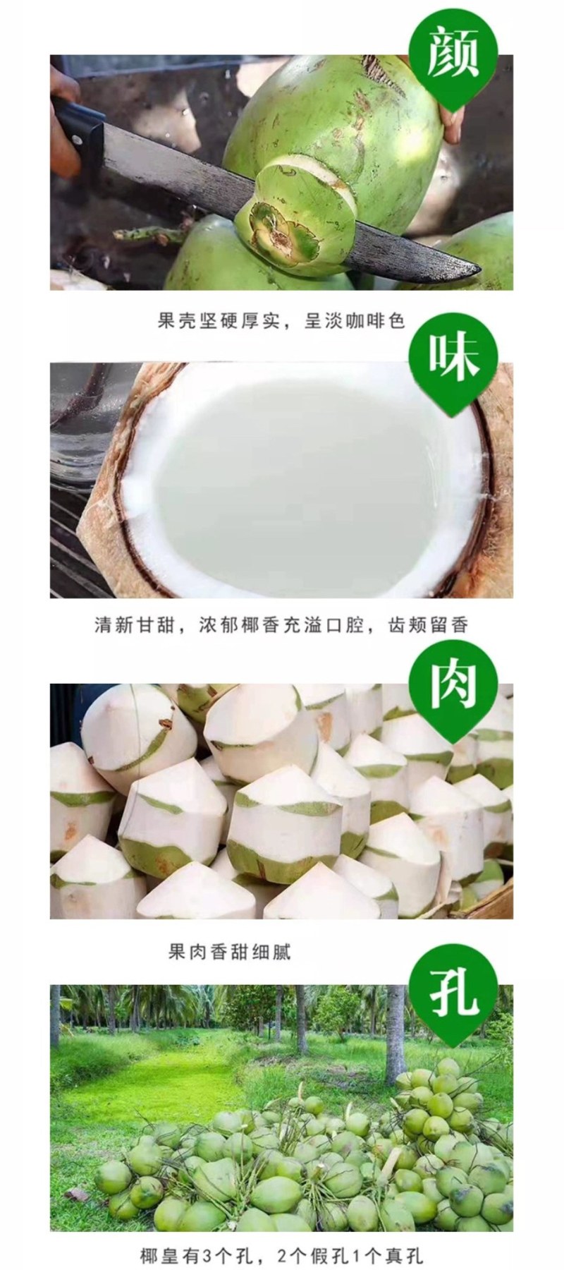 【包邮】海南文昌嫩椰青新鲜9个装当季热带孕妇水果香椰子汁