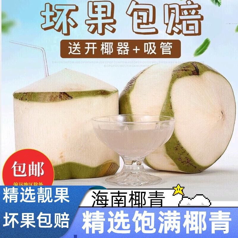 【包邮】海南文昌嫩椰青新鲜9个装当季热带孕妇水果香椰子汁