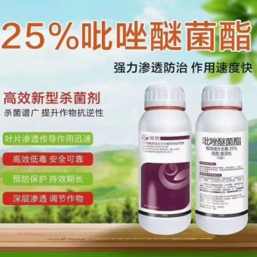 25%吡唑醚菌酯白粉病霜霉病黑星病叶斑病正规产品