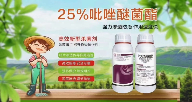 25%吡唑醚菌酯白粉病霜霉病黑星病叶斑病正规产品