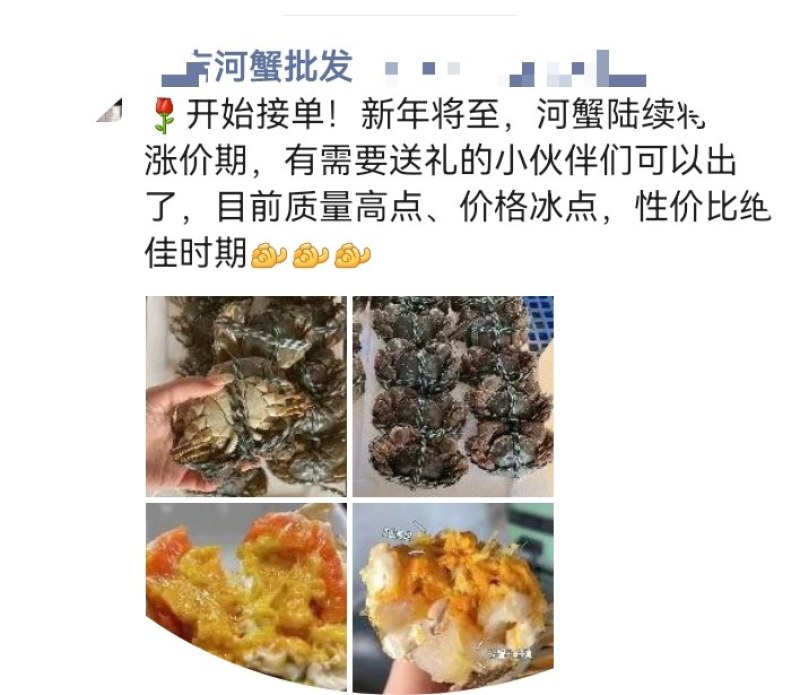 大残蟹非常肥3两～4两