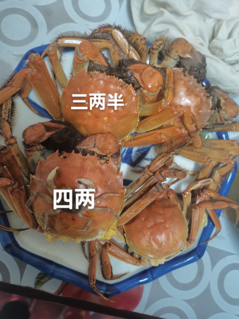 大残蟹非常肥3两～4两