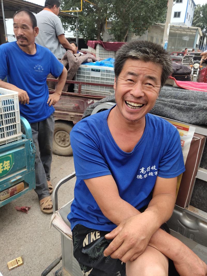 【电话议价】山东密刺黄瓜/社区电商/市场加工厂/赶集小车