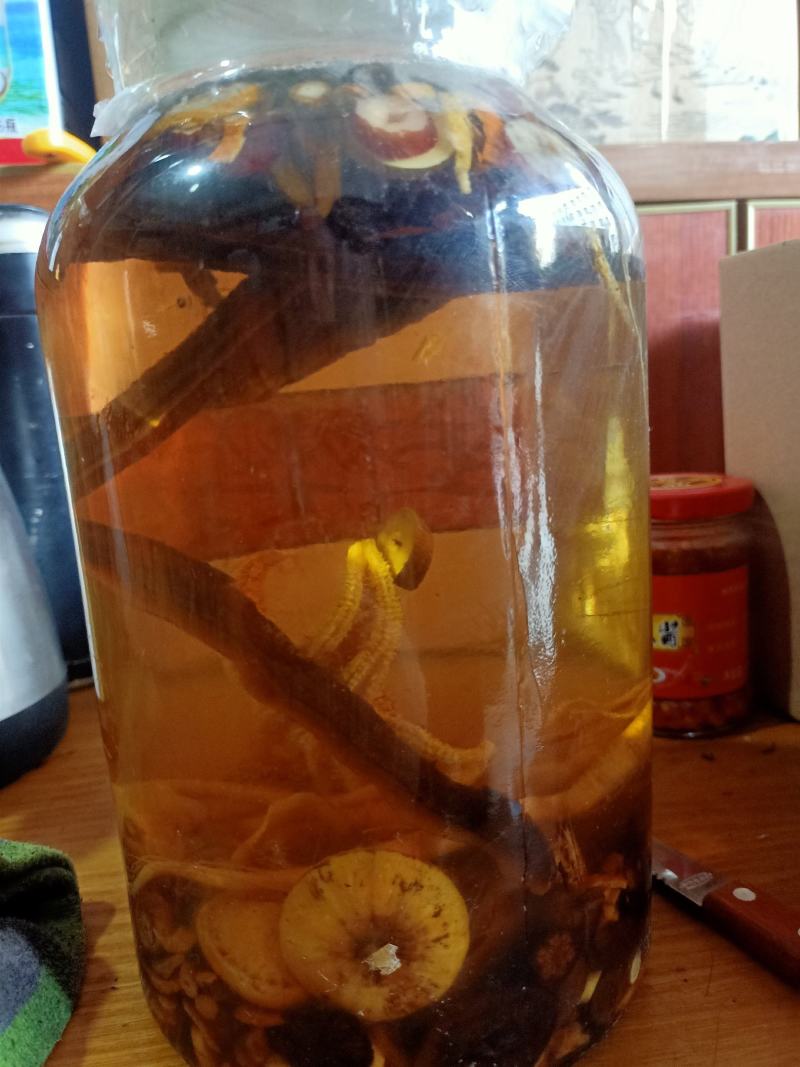 纯粮药材地窖酒，有十斤，4斤/坛，可全国各地包邮