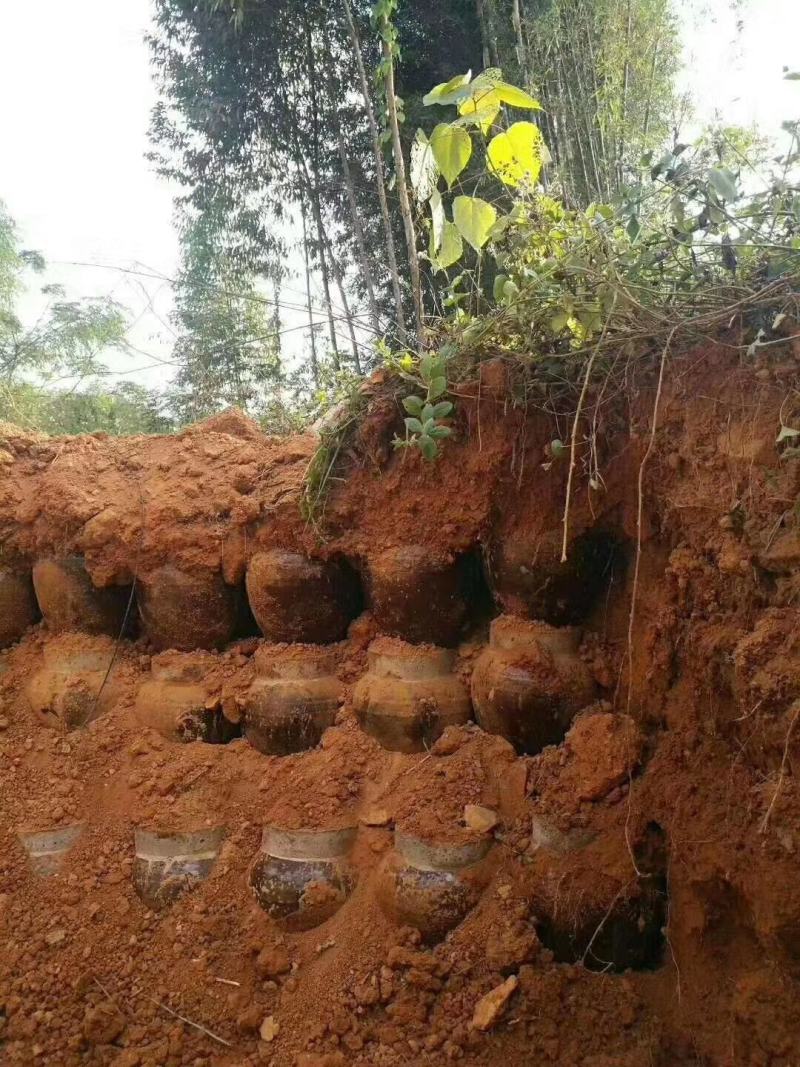 纯粮药材地窖酒，有十斤，4斤/坛，可全国各地包邮