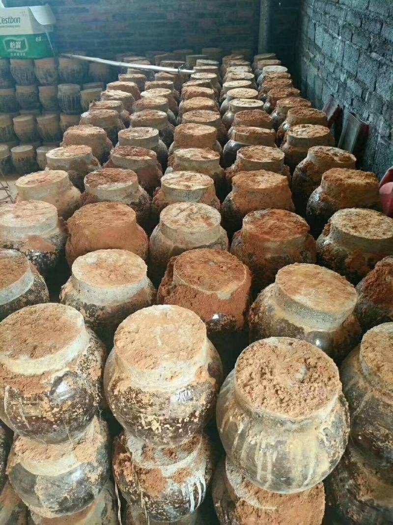 纯粮药材地窖酒，有十斤，4斤/坛，可全国各地包邮