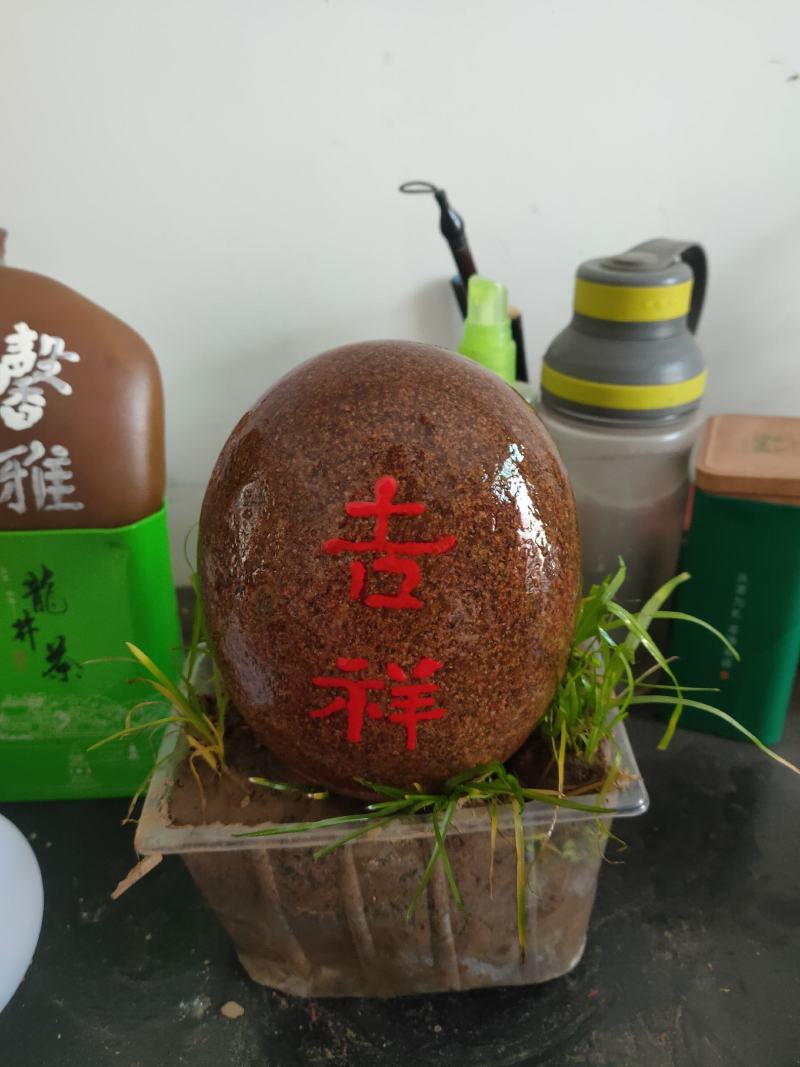 徐香猕猴桃
