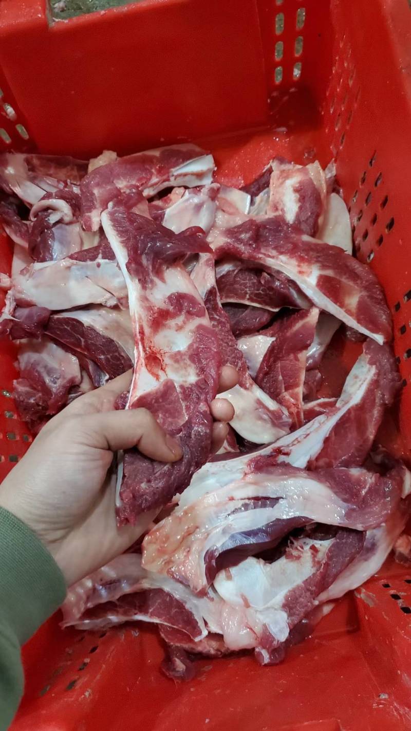 母猪月牙骨