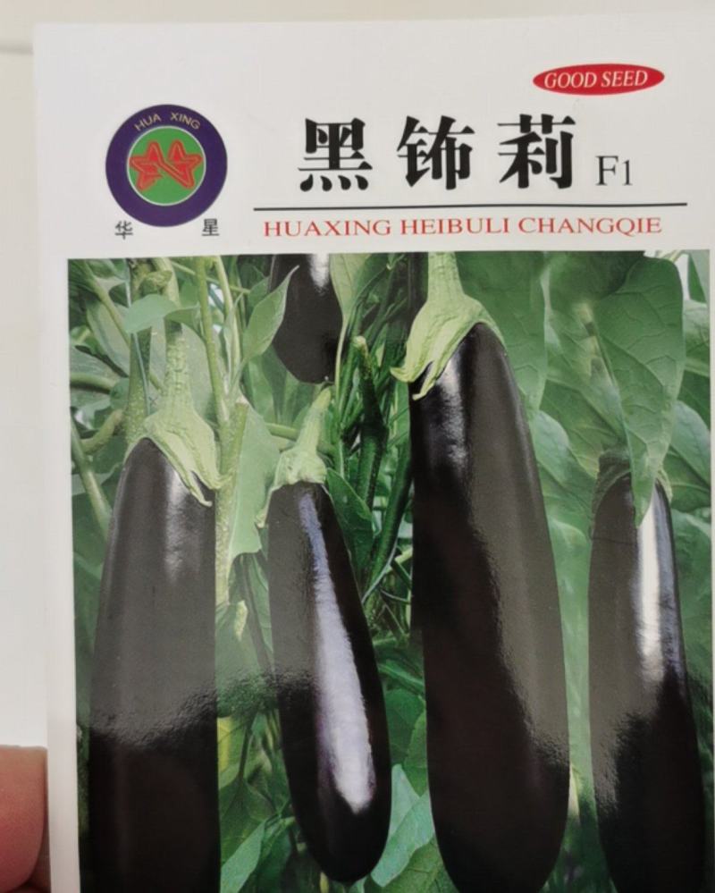 黑鉓莉茄子种子绿萼杂交黑长早熟绿把茄子基地种植