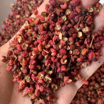 大红袍花椒，云南红花椒，颗粒大，颜色红，2023年好货