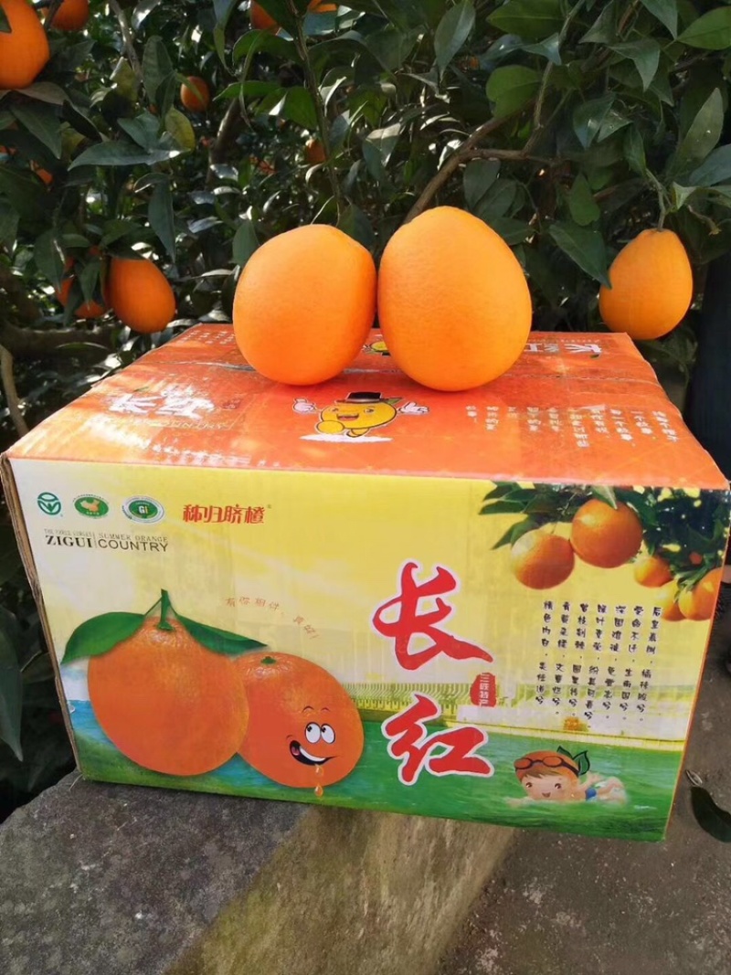 长虹脐橙，皮薄肉嫩，保质保量，诚信经营。