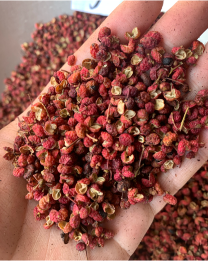 大红袍花椒，云南红花椒，颗粒大，颜色红，2023年好货