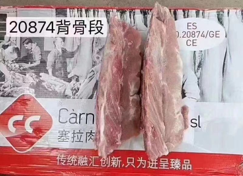 脊骨段