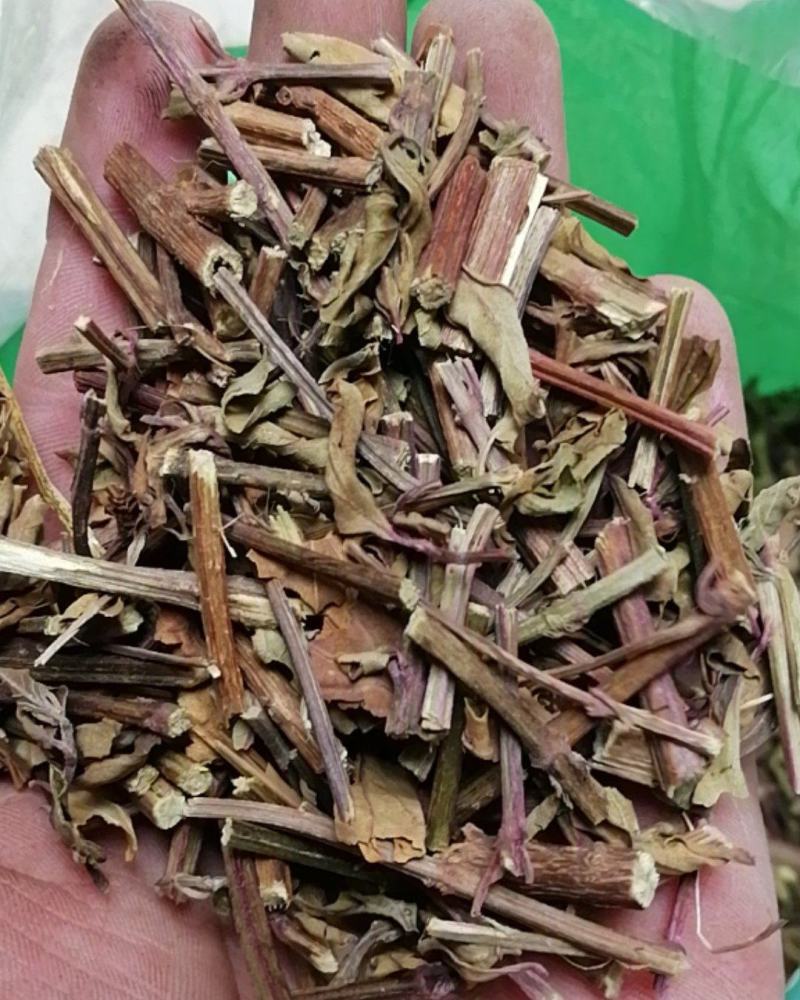 猫须草牙努秒猫须公保证正品不满意可退换货