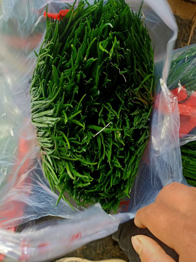 邯郸小葱精品蔬菜。精品质量，诚信经营质量保证