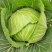 四川扁包菜。富士春，新品上市！物美价廉！