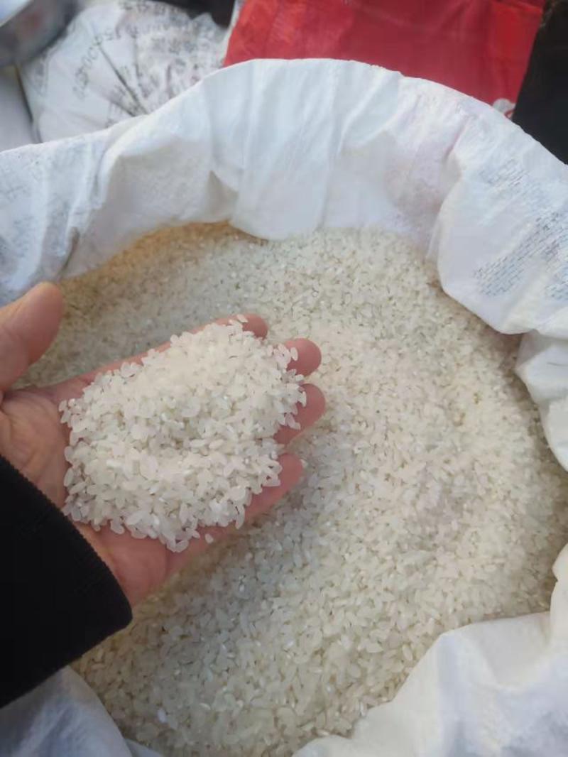 大米自产自销黑龙江新米一年一季水稻口感香甜量大优惠