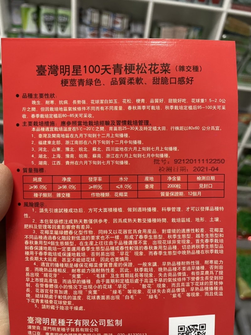 台湾106青梗松花菜种子、春秋播种、雪白、抗性好、稳定